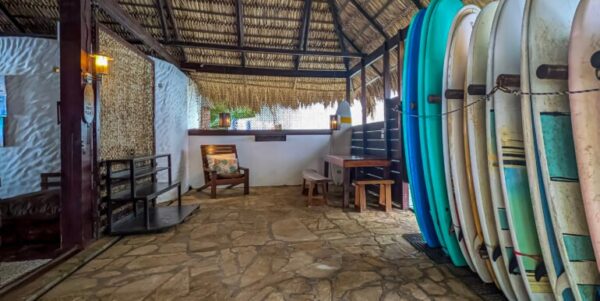 The Entrepreneurial Lifestyle Awaits at Buena Vista Surf Club - Image 2