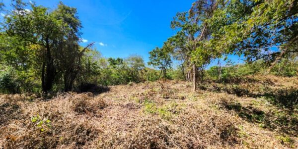 Developer’s last lots at Arriba Verde in Carrizal - Image 2
