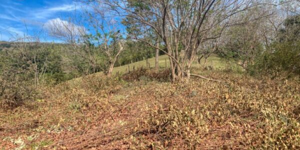 Natural Paradise View Arriba Verde Lot 29 - Image 2