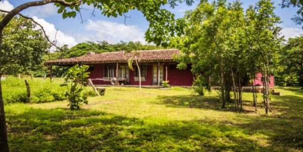 Spanish Traditional Hacienda. On 5 acres - Image 2