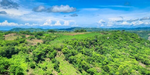 12 Acres Ocean View, Peaceful Hills! - Image 2