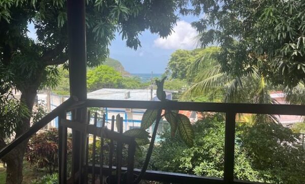 Ocean View Mahogany House in San Juan del Sur - Image 2