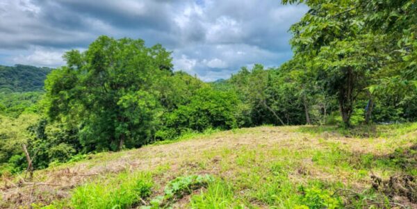 Double Lot, Half Price Ocean, Mountain View - Image 2