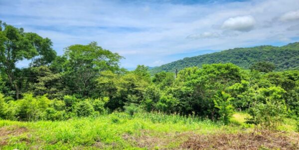 Ocean View Vacant Lot in Villas Oro Lot 12 - Image 2