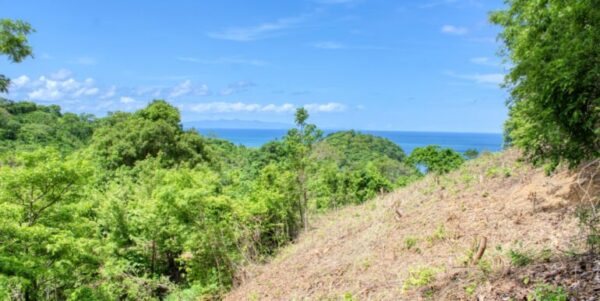 Lot 83 Dream ocean view lot, bargain, Paradise Bay! - Image 2