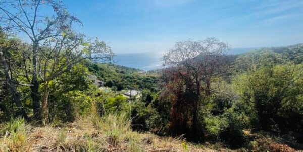 Paradise Bay Panoramic Ocean View Lot 19 - Image 3