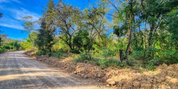 700 Meters Frontage Majagual - Image 3