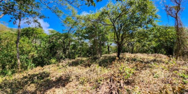 Developer’s last lots at Arriba Verde in Carrizal - Image 3