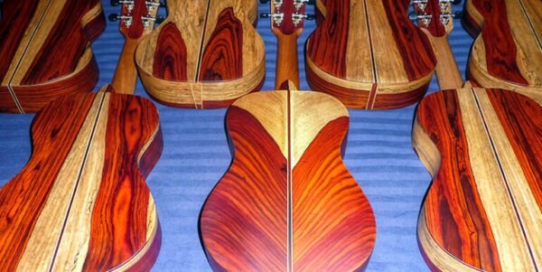 Ukulele Business, Home, and Land. Yes! - Image 3