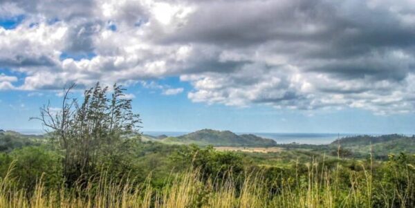 25 Acres of Pristine Nicaraguan Jungle - Image 3