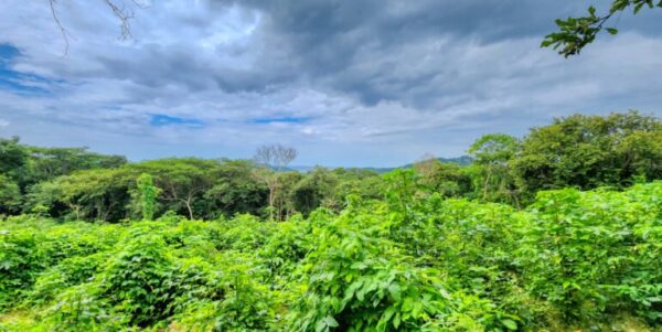 75 Acres of Mountain Forest in San Juan del Sur - Image 3
