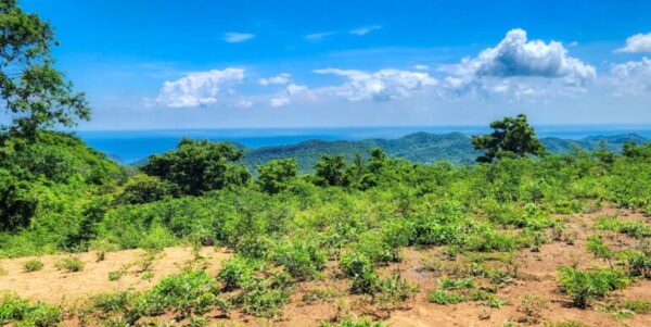 12 Acres Ocean View, Peaceful Hills! - Image 3