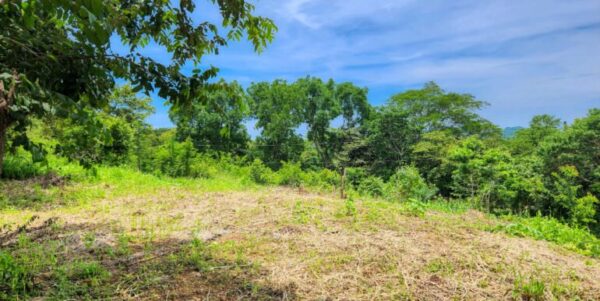 Double Lot, Half Price Ocean, Mountain View - Image 3