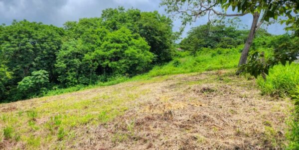 Ocean View Vacant Lot in Villas Oro Lot 12 - Image 3
