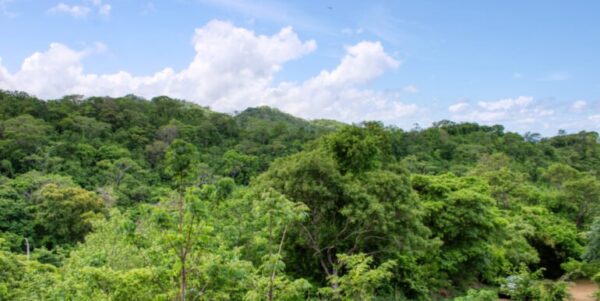 Lot 83 Dream ocean view lot, bargain, Paradise Bay! - Image 3
