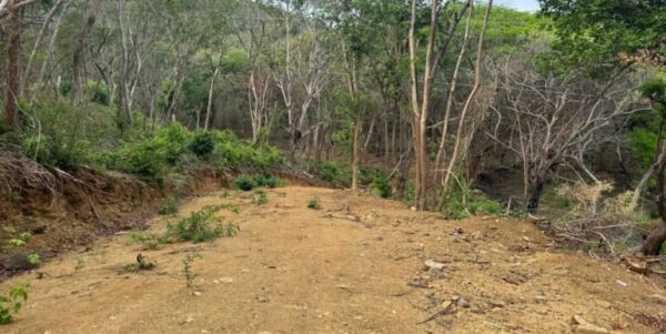 3 Acres located beside the Las Escadas Pickleball Courts - Image 3