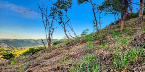 Paradise Ocean and Bay View Property lot R1- San Juan del Sur! - Image 3