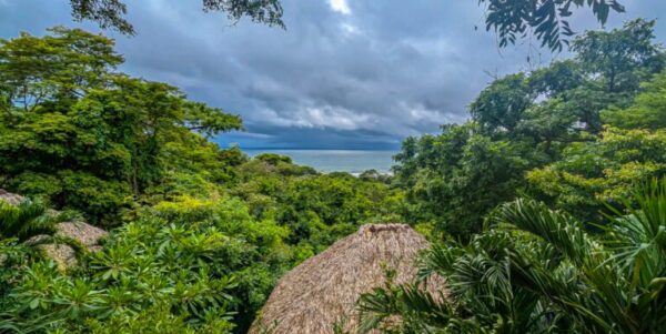 The Entrepreneurial Lifestyle Awaits at Buena Vista Surf Club - Image 4