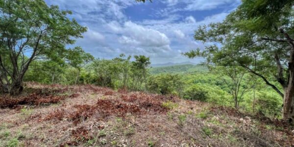 Natural Paradise View Arriba Verde Lot 29 - Image 4