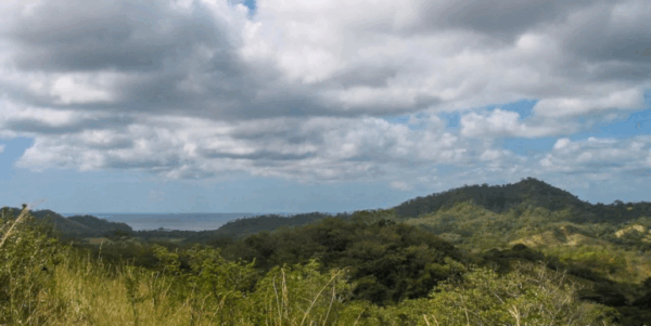 25 Acres of Pristine Nicaraguan Jungle - Image 4