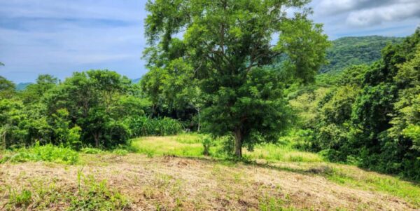 Double Lot, Half Price Ocean, Mountain View - Image 4