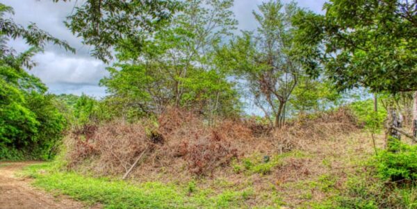 2.5 acres Nature’s Paradise, Las Fincas Lot 20 - Image 4