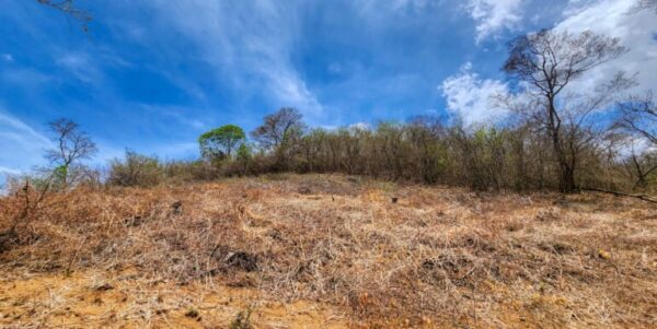 Lot 79, Your Dream Lot with Plans, Ocean View, Paradise Bay! - Image 4