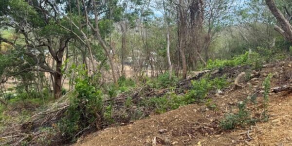 3 Acres located beside the Las Escadas Pickleball Courts - Image 4