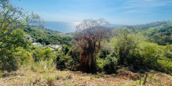 Paradise Bay Panoramic Ocean View Lot 19 - Image 5