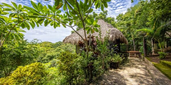 The Entrepreneurial Lifestyle Awaits at Buena Vista Surf Club - Image 5