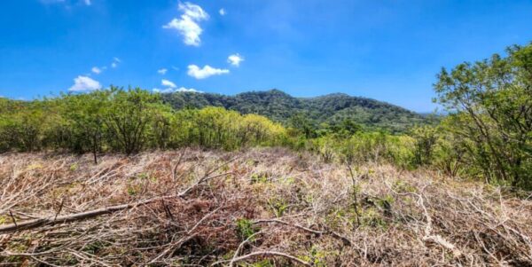 Developer’s last lots at Arriba Verde in Carrizal - Image 5