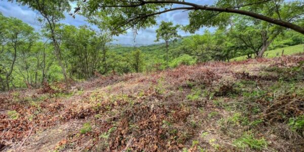 Natural Paradise View Arriba Verde Lot 29 - Image 5