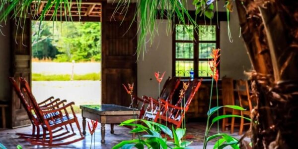 Spanish Traditional Hacienda. On 5 acres - Image 5