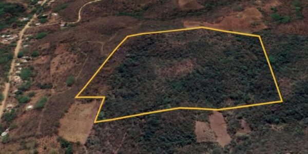25 Acres of Pristine Nicaraguan Jungle - Image 5