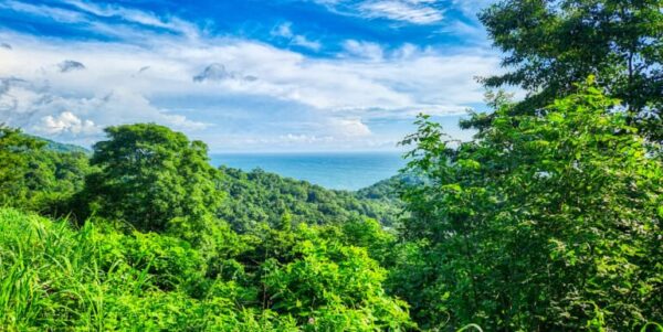 Lot 71 Spectacular Ocean View, Paradise Bay, San Juan del Sur - Image 5