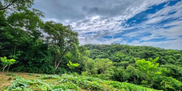 75 Acres of Mountain Forest in San Juan del Sur - Image 5