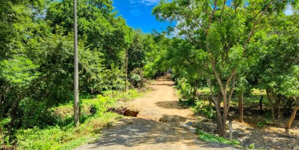 Road to Remanso, Commercial/Residential Land - Image 5