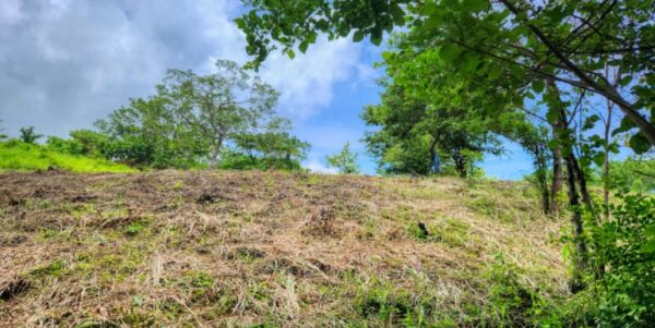 Ocean View Vacant Lot in Villas Oro Lot 12 - Image 5