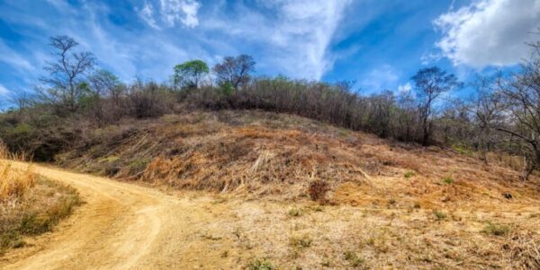 Lot 79, Your Dream Lot with Plans, Ocean View, Paradise Bay! - Image 5