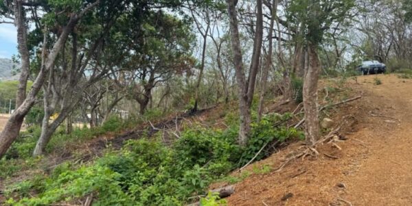 3 Acres located beside the Las Escadas Pickleball Courts - Image 5