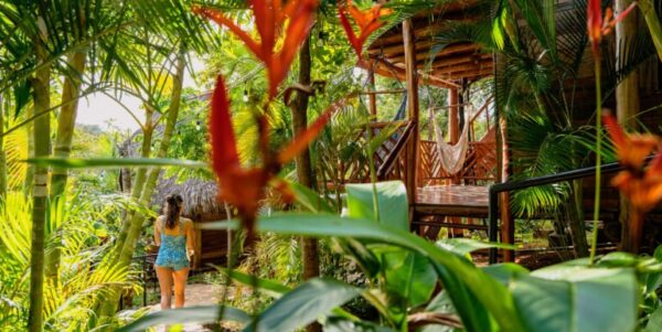 Eden on The Chocolata Road Eco-Lodge & Retreat Center - Image 6