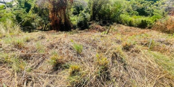 Paradise Bay Panoramic Ocean View Lot 19 - Image 6