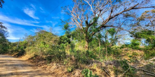 700 Meters Frontage Majagual - Image 6