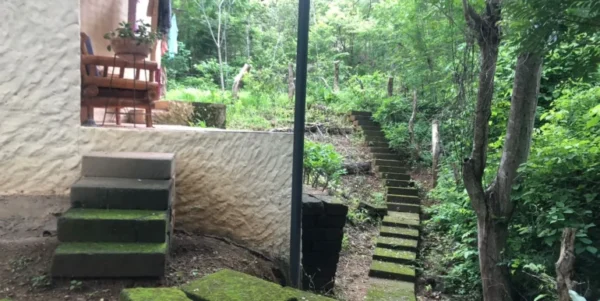 Charming Cabin, Well Loved, Well Priced. 6 minutes from Town - Image 6