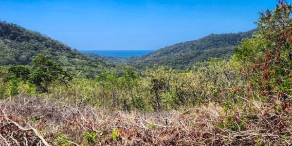 Developer’s last lots at Arriba Verde in Carrizal - Image 6