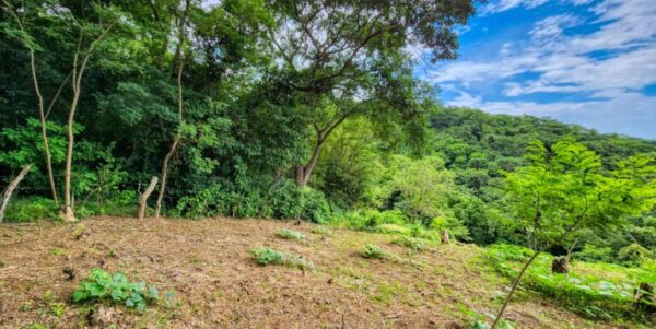 46 acres, Ocean Views, El Baston, SJDS - Image 6