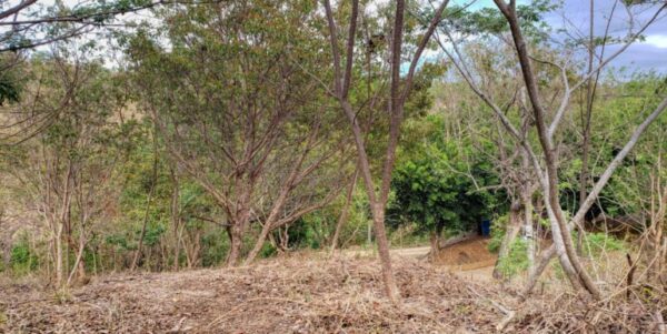 Lot 35 Jungle Cool, Beach Near, Steps to Pool - Image 6