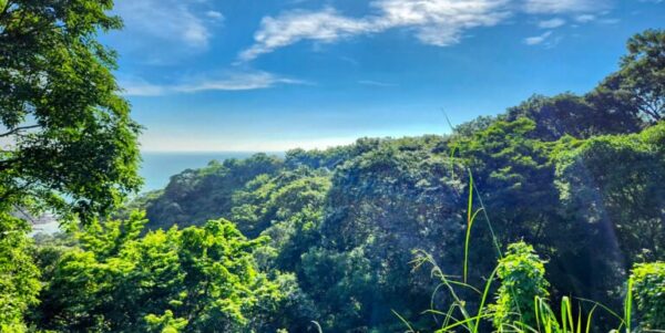 Lot 71 Spectacular Ocean View, Paradise Bay, San Juan del Sur - Image 6