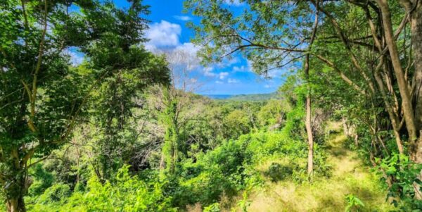 75 Acres of Mountain Forest in San Juan del Sur - Image 6
