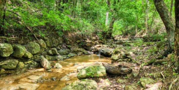 12 Acres Ocean View, Peaceful Hills! - Image 6